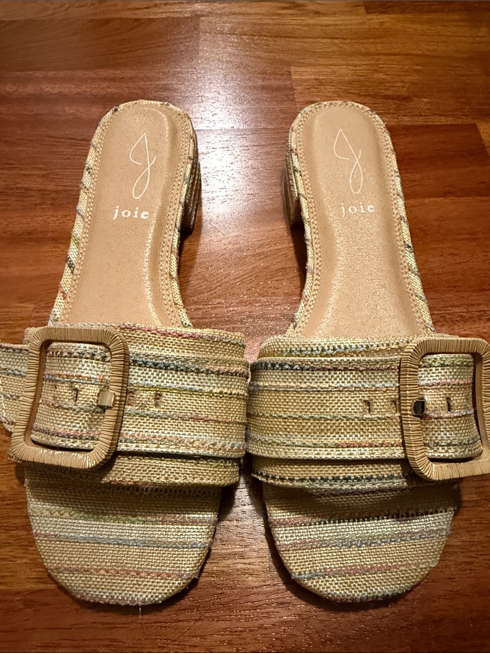 Joie Neutral Striped Slide Mules with Buckle - Picture 4 of 4